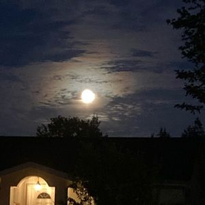 Meet your Posher, Audrey